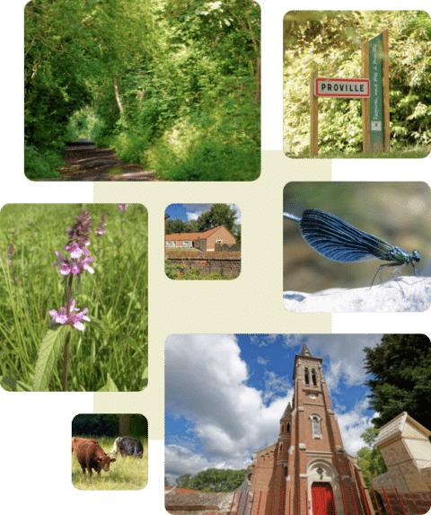 Accueil Mairie de Proville