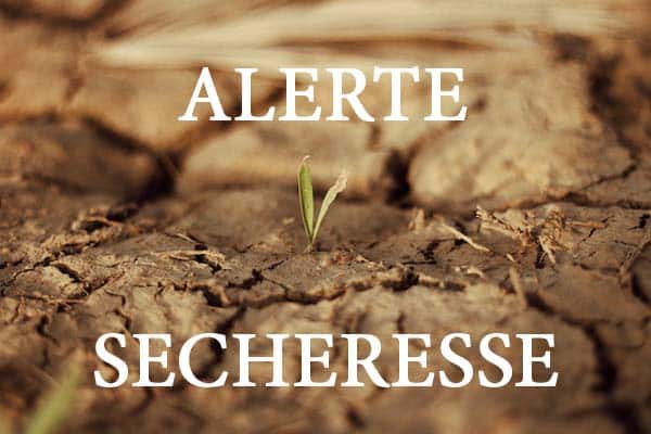 ALERTE SECHERESSE