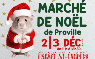Marché de Noël de Proville