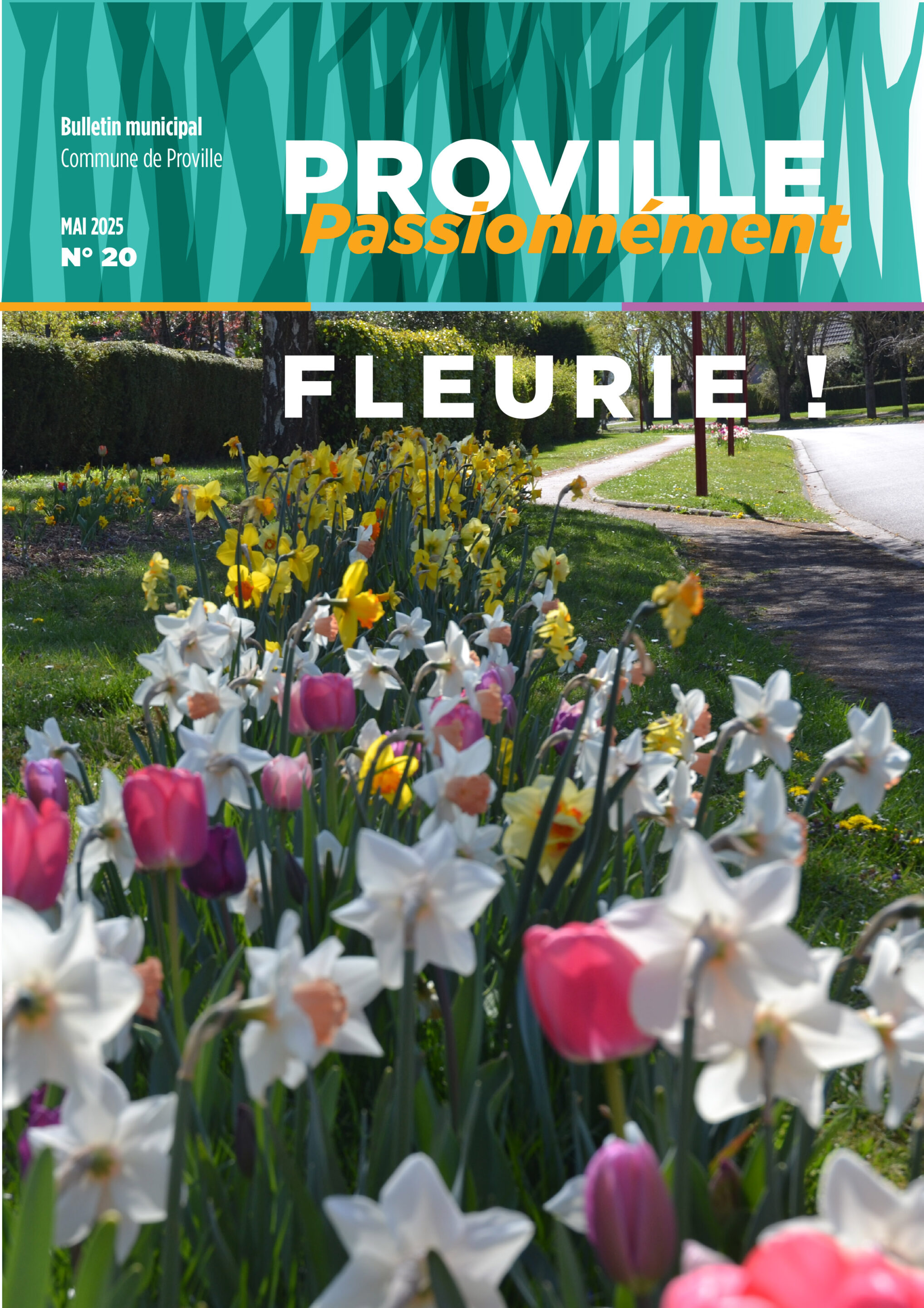 Couverture du Proville Passionnément n°12