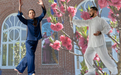 Cours de tai-chi gratuit